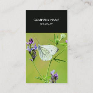 Green Veined White Butterfly Business Card