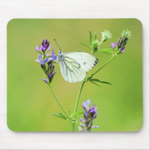 Green Veined White Butterfly Mouse Pad