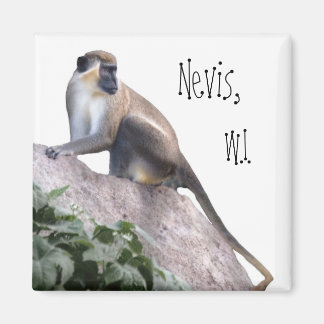 Green Vervet Monkey Magnet