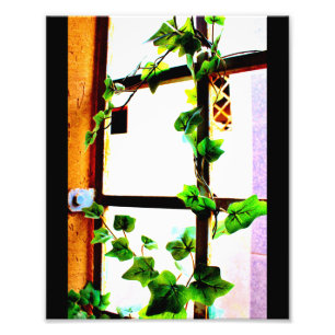 Green Vine Photo Print
