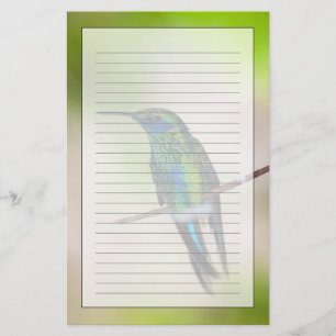 Green Violet-ear Hummingbird Stationery