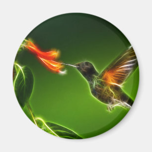 Green Violetear Hummingbird Magnet