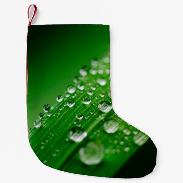 Green water leaf dew nature grass small christmas stocking (Front)