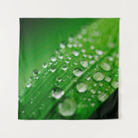 Green water leaf dew nature grass