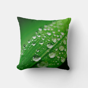 Green water leaf dew nature grass throw pillow