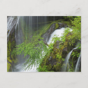 Green Waterfall Scenic Postcard
