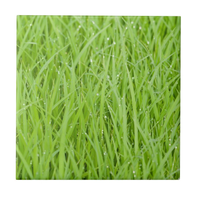 Green wet grass design tile (Front)
