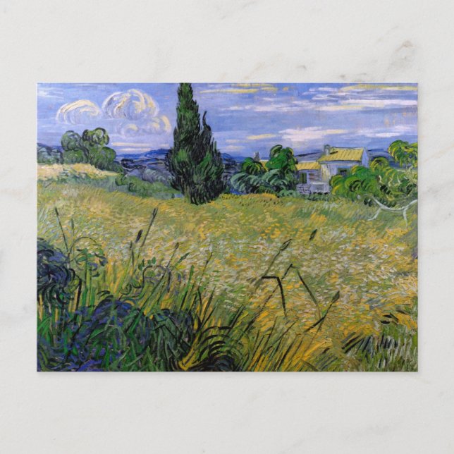 Green Wheat Field with Cypress by Vincent van Gogh Postcard (Front)
