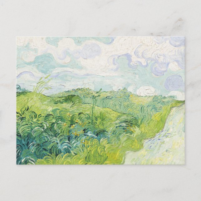 Green Wheat Fields, Auvers (1890) by  Van Gogh.  Postcard (Front)