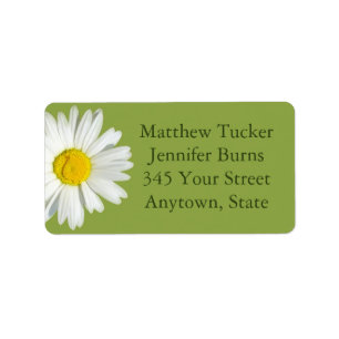 Green White Daisy Envelope Address Labels