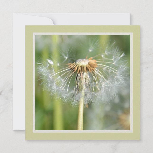 Green White Dandelion Flowers Baby Shower Invitation (Front)