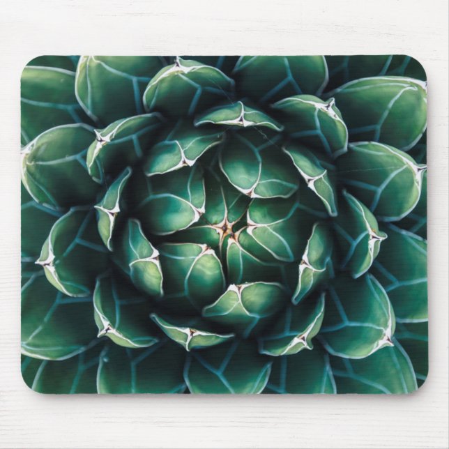 Green & White Succulent Mouse Pad (Front)