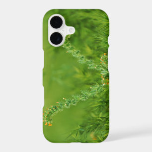 Green Wild Plant