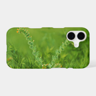 Green Wild Plant