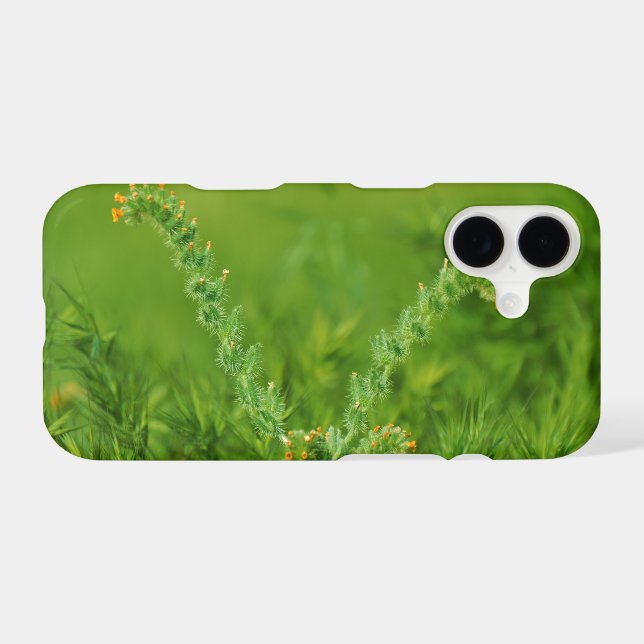 Green Wild Plant (Back (Horizontal))