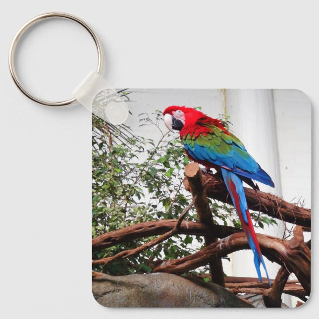 Green-winged Macaw #3 Keychain (Front)