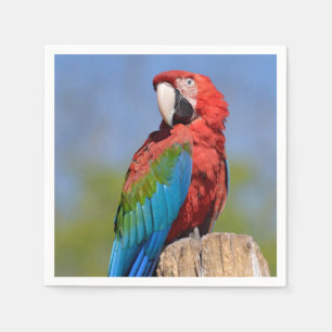 Green-winged macaw perched napkin