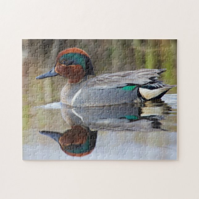 Green-winged Teal Jigsaw Puzzle (Horizontal)