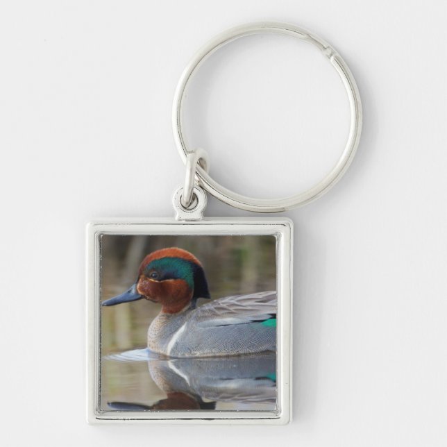 Green-winged Teal Keychain (Front)