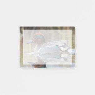 Green-winged Teal Post-it Notes