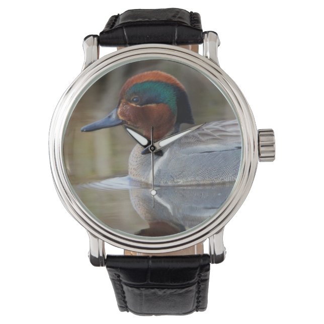 Green-winged Teal Watch (Front)