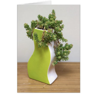 Green with Envy by Succulent Designs