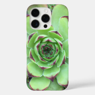 Green with Purple Tips Succulent Close-Up Photo iPhone 16 Pro Case