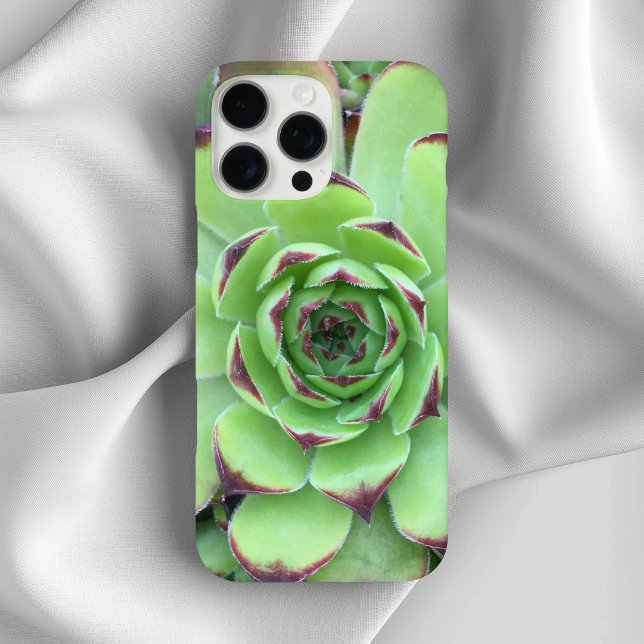 Green with Purple Tips Succulent Close-Up Photo Case-Mate iPhone Case (Green with Purple Tips Succulent Close-Up Photo Case-Mate iPhone Case)