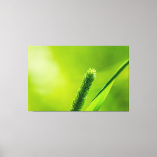 Green World Canvas Print