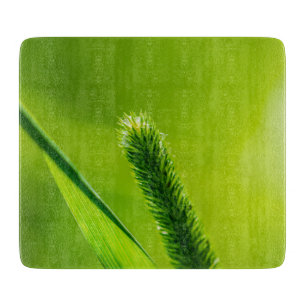 Green World Cutting Board