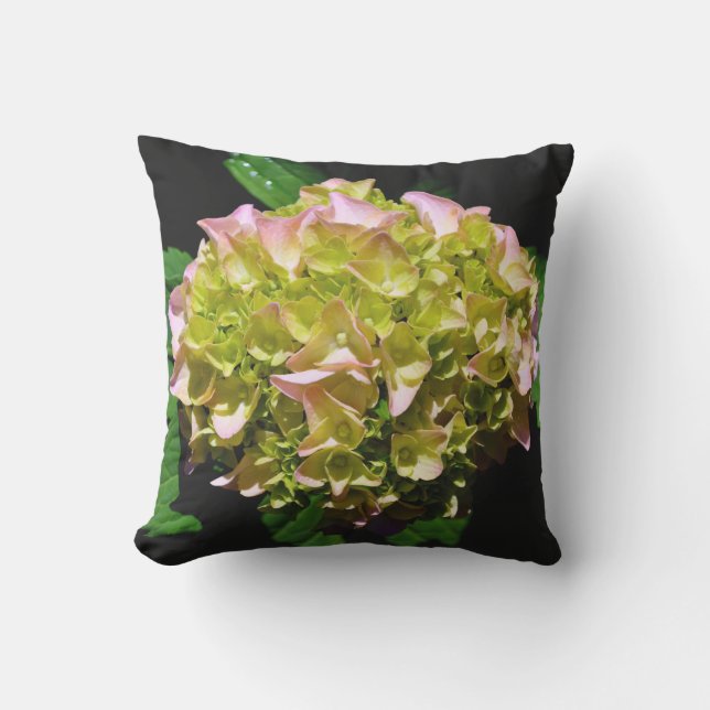 Green yellow pink Hydrangea pink yellow flower Outdoor Pillow (Front)
