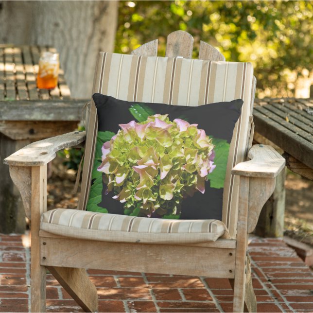 Green yellow pink Hydrangea pink yellow flower Outdoor Pillow (Chair)