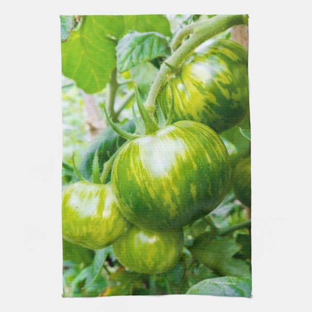 Green Zebra Heirloom Tomatoes on the Vine Kitchen Towel (Vertical)