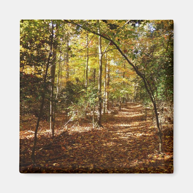 Greenbelt Park in Fall I Maryland Landscape Magnet (Front)