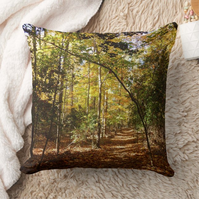 Greenbelt Park in Fall I Maryland Landscape Throw Pillow (Blanket)