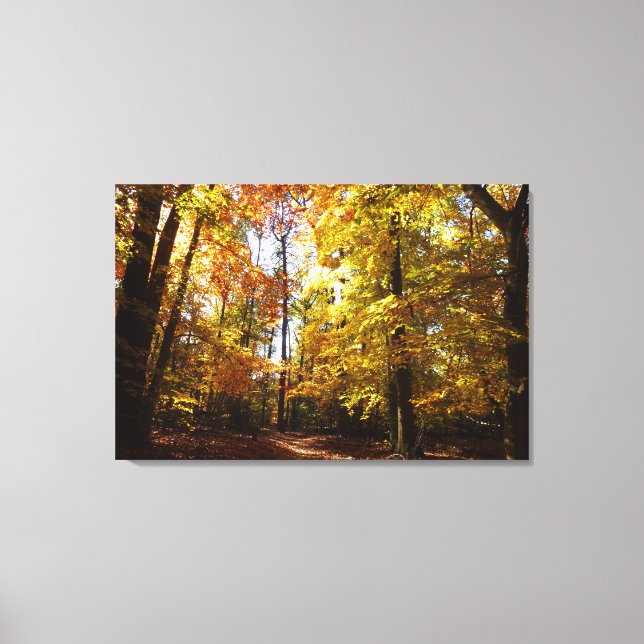 Greenbelt Park in Fall II Maryland Nature Scene Canvas Print (Front)