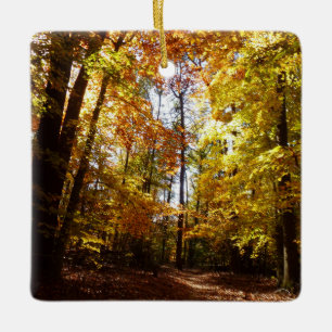 Greenbelt Park in Fall II Maryland Nature Scene Ceramic Ornament