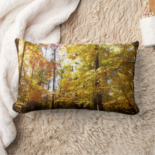 Greenbelt Park in Fall II Maryland Nature Scene Lumbar Pillow