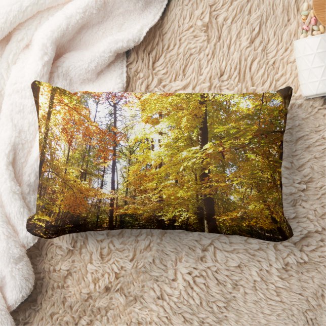 Greenbelt Park in Fall II Maryland Nature Scene Lumbar Pillow (Blanket)