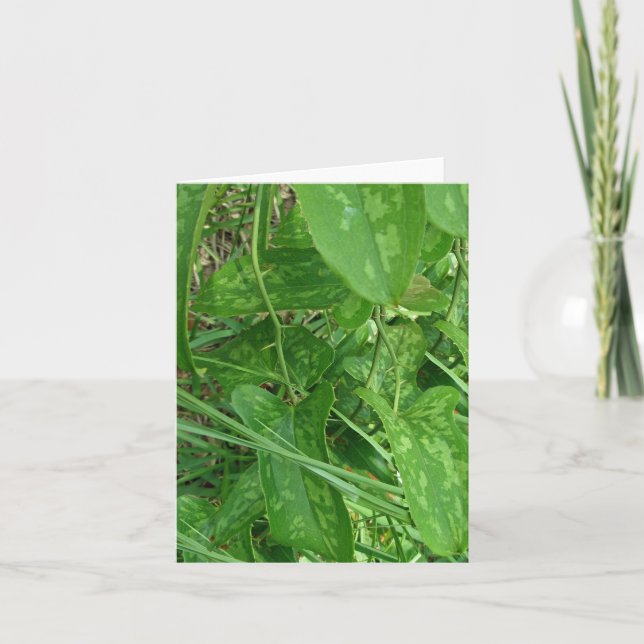Greenbriar (Smilax) Vine Note Card (Front)