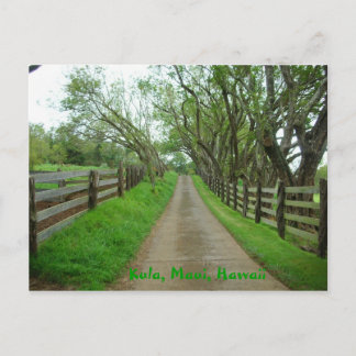 Greener Pastures Postcard
