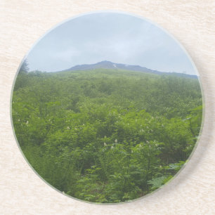 Greenery & Mountain View Coaster
