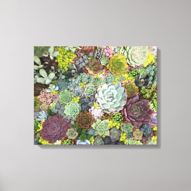 Greenery Succulents Canvas Print (Front)