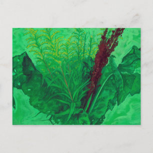 Greenery, summer herbs & wildflowers, floral art c postcard