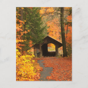 Greenfield Pumping Station Covered Bridge Postcard