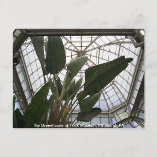 Greenhouse at the Frick Museum, Pittsburgh PA Postcard