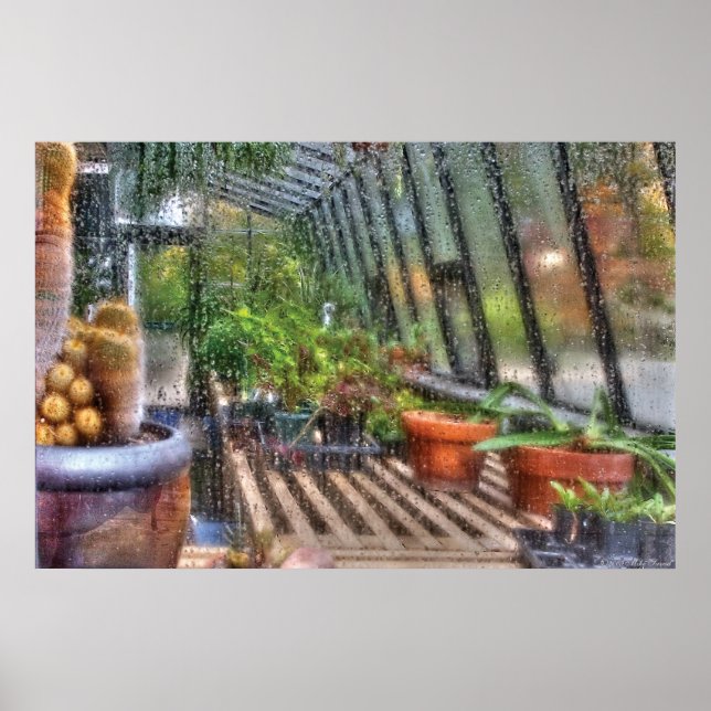 Greenhouse - In a Greenhouse Window Poster (Front)