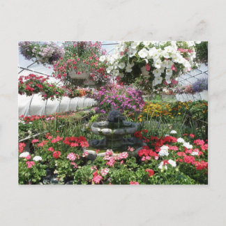 Greenhouse Postcard