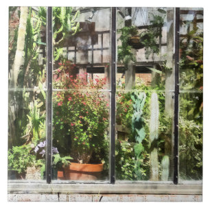 Greenhouse With Large Cactus Tile