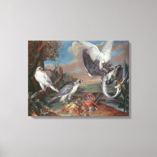 Greenland Cyr Falcons Canvas Print